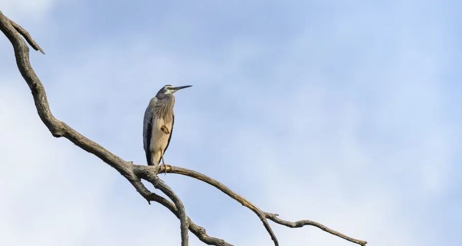 家电产业新年将催生两条竞争赛道(图1)