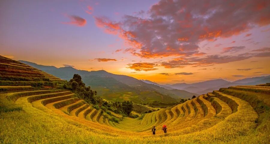 家电厂商要抛弃过度和泛滥营销(图1)