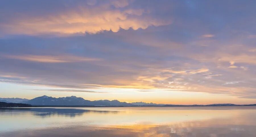 家电企业拿什么拥抱2026年？(图1)