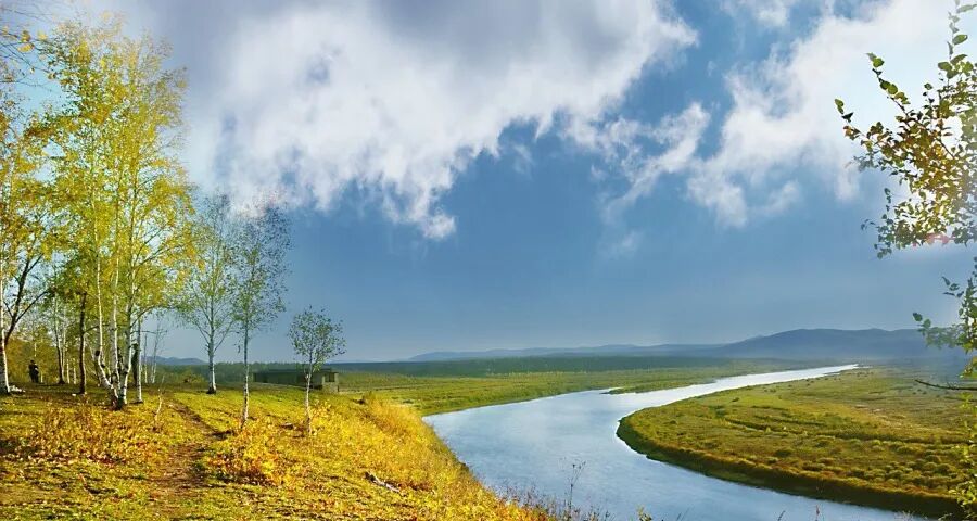 本周家电圈:国补有变?美的海尔追觅长虹京东出大招澳柯玛大金动荡(图1)