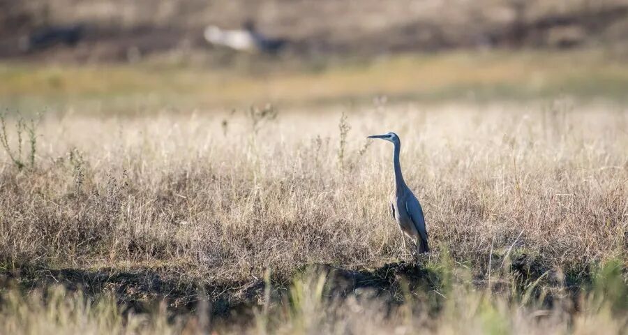 今年空调行业上演涨价无间道(图1)
