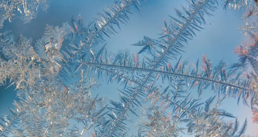 最近家电市场上怨气火气有点多(图1)