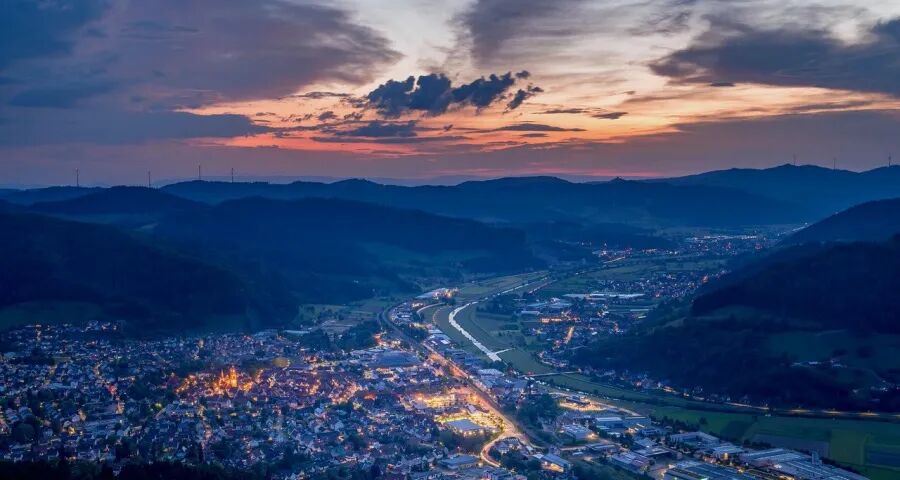 今年起家电厂商抱团取暖彻底落空(图1)