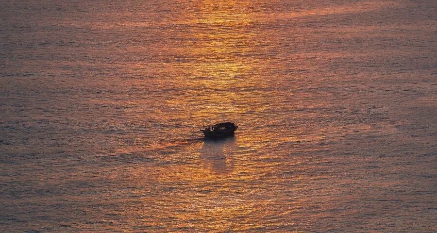 本周家电圈:涨价!长虹海信TCL九阳向上美博京东苏宁德尔玛有变(图1) 本周家电圈:涨价!长虹海信TCL九阳向上美博京东苏宁德尔玛有变(图1)