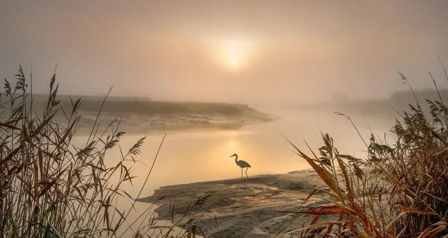 今年家电企业三季报的成败与反思(图1) 今年家电企业三季报的成败与反思(图1)