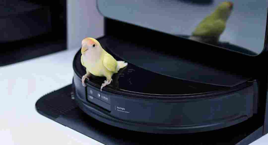 石头与科沃斯对决：规模扩张VS高质量增长，谁更胜一筹？(图1)