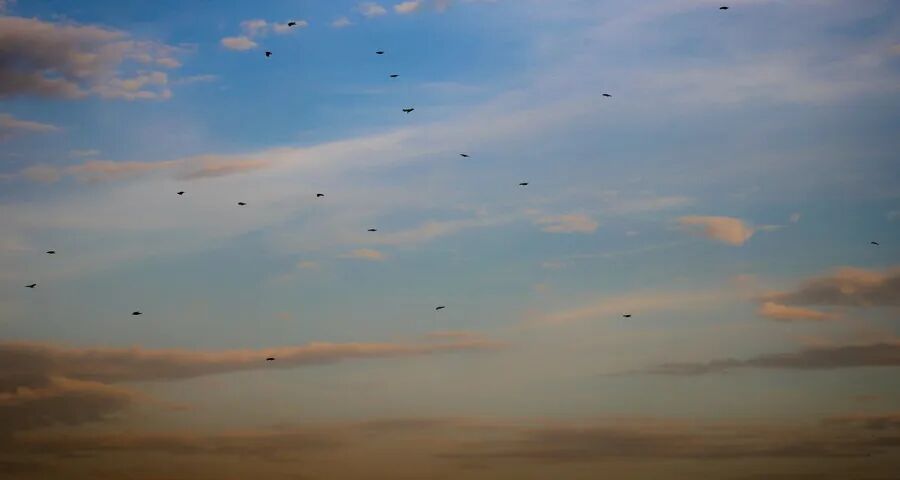 市场内卷化加速中小家电厂商出局(图1) 市场内卷化加速中小家电厂商出局(图1)