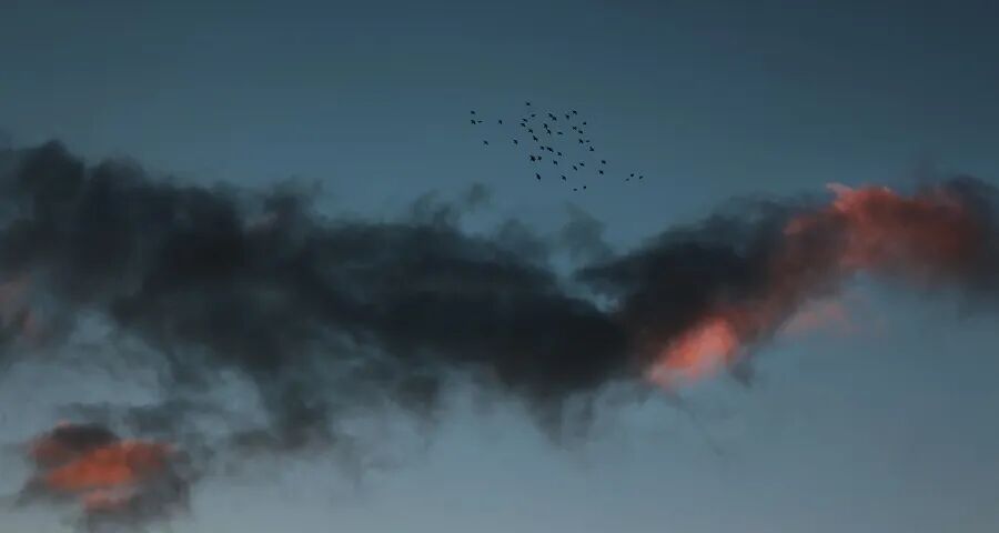 2025家电市场上演“过山车”(图1)