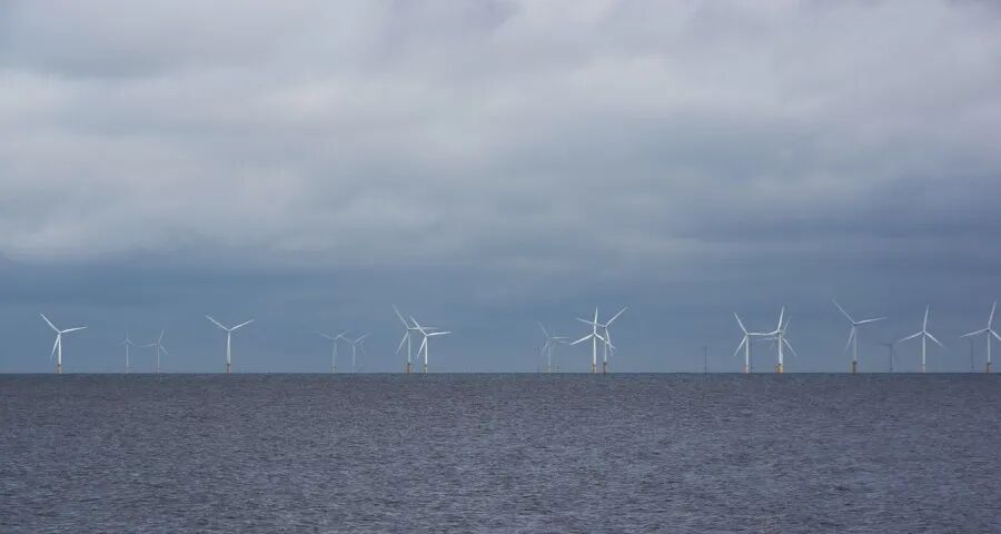 下半年家电厂商的难关：拼价格没利润，保品质丢订单(图1)