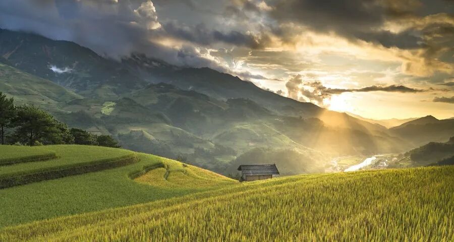 家电三杰2025年半年报的看点(图1)