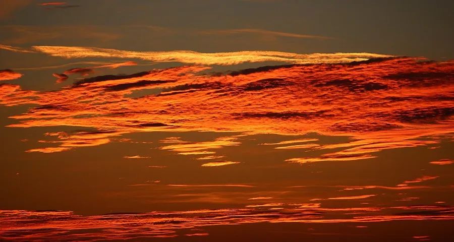 本周家电圈:变天!海尔美的格力方太老板决战索尼长虹TCL苏宁探路(图1)