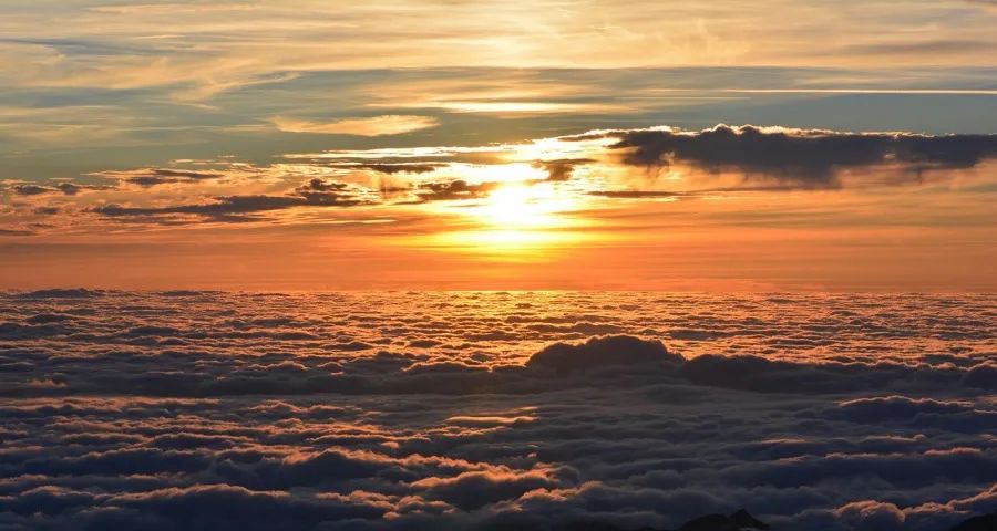 小米欲冲前三，空调三巨头暗自发力(图1)