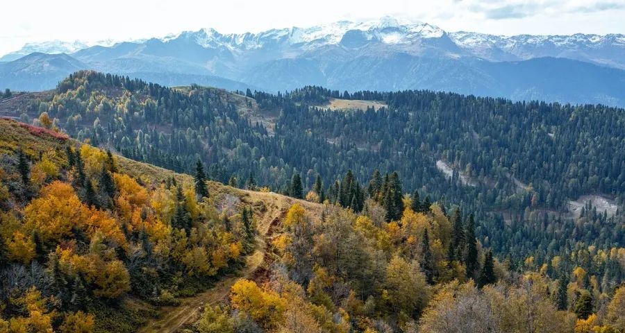 本周家电圈:国补破亿,美的海尔方太京东抢跑康佳小熊博西动荡(图1)