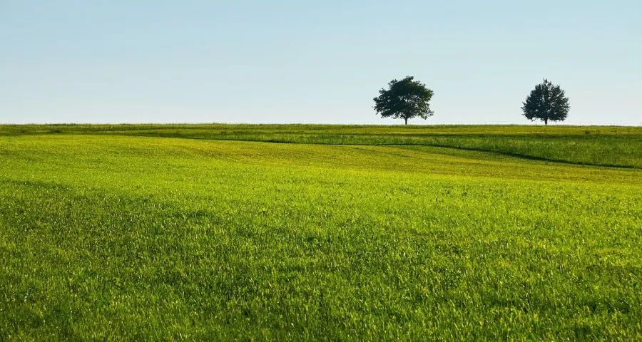 家电市场和消费面临被大量透支(图1)