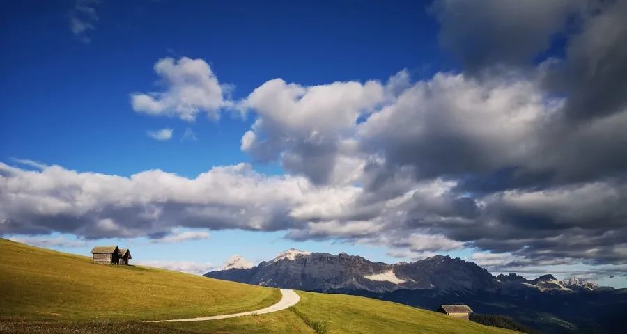 家电厂商最大的红利为何失灵了(图1)