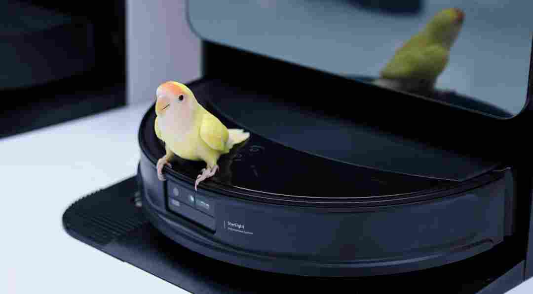 石头科技年入百亿，稳坐扫地机器人行业龙头(图1)