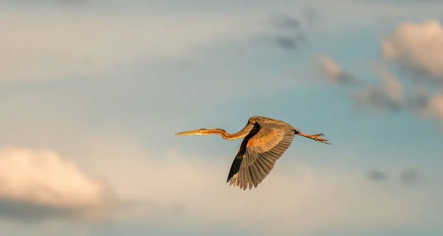 10年免费包修点燃今年空调战火(图1) 10年免费包修点燃今年空调战火(图1)