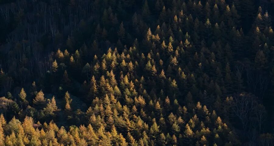 今年家电市场价格竞争将更惨烈(图1) 今年家电市场价格竞争将更惨烈(图1)