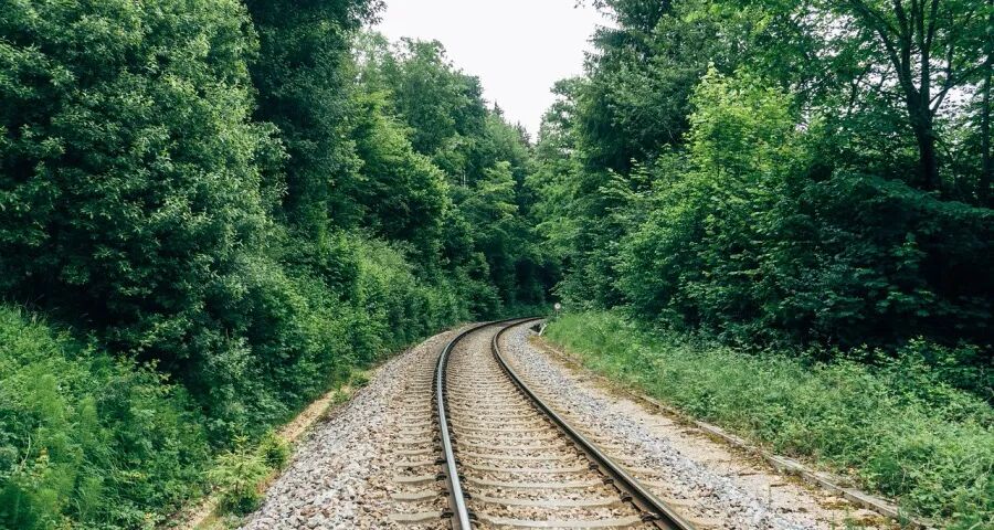 2026年美的集团的方向路径与动力(图1)