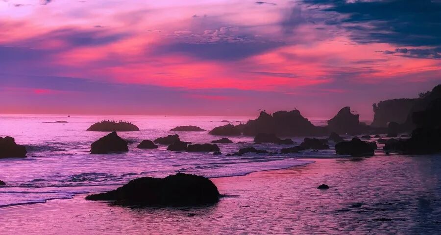 2026家电市场开局有三个没想到(图1) 2026家电市场开局有三个没想到(图1)