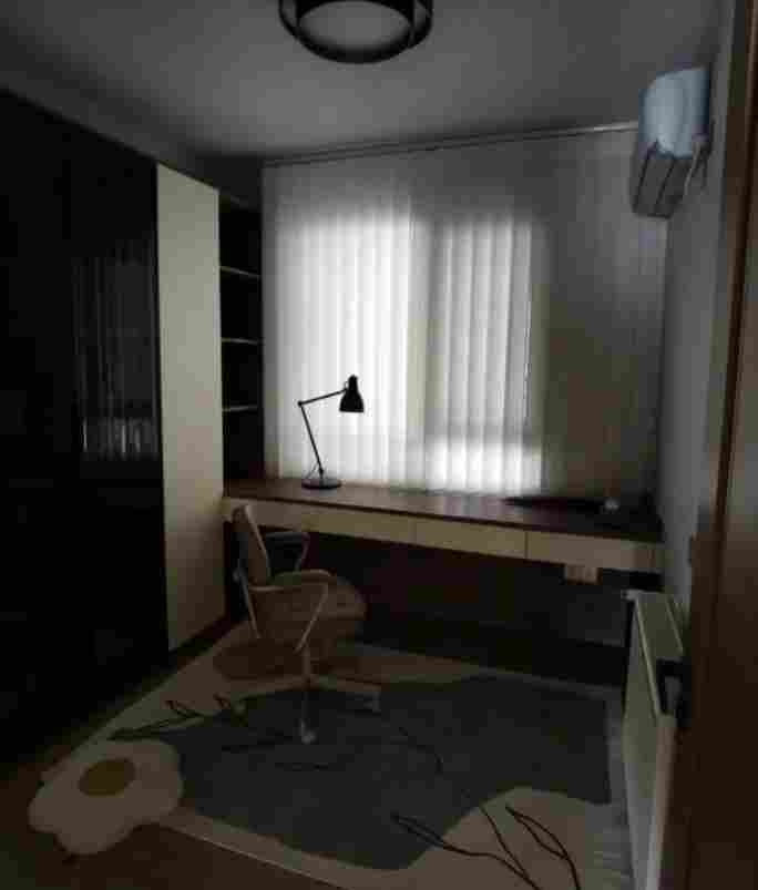 梦幻纱帘04(图12)